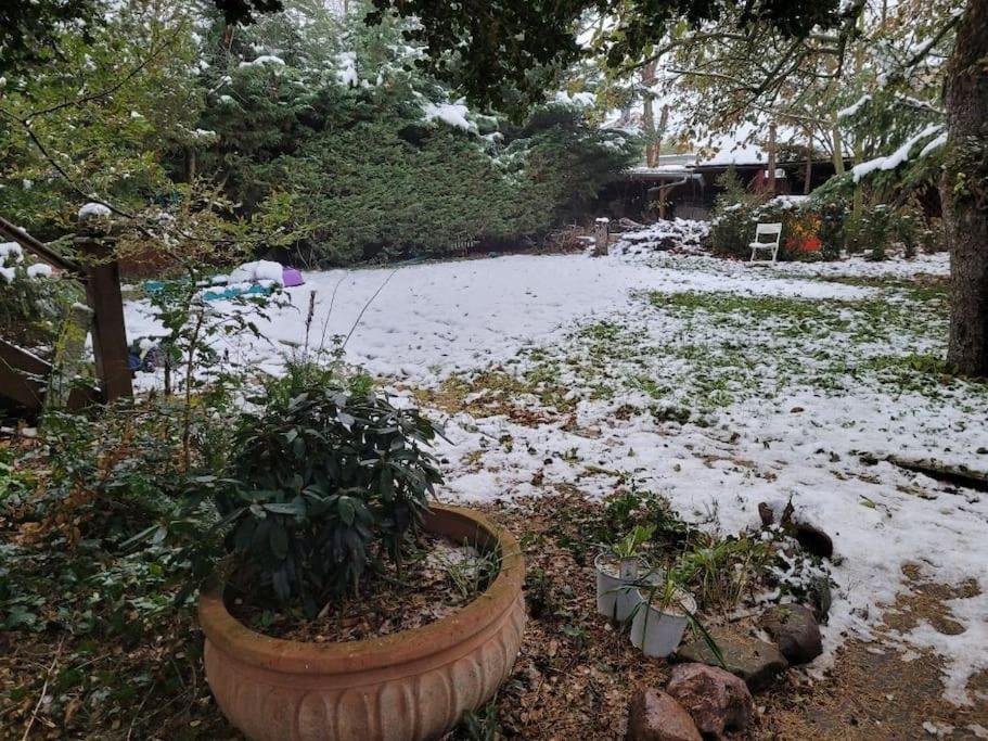 Gaestewohnung " Am Harsdorf " Maagdenburg Buitenkant foto